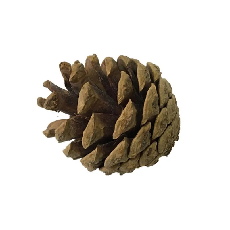 

Natural Wooden Rabbits Toys Pine Dumbells Unicycle Bell Roller Chew Toys for Guinea Pigs Rat Small Pet Molars Supplies 2