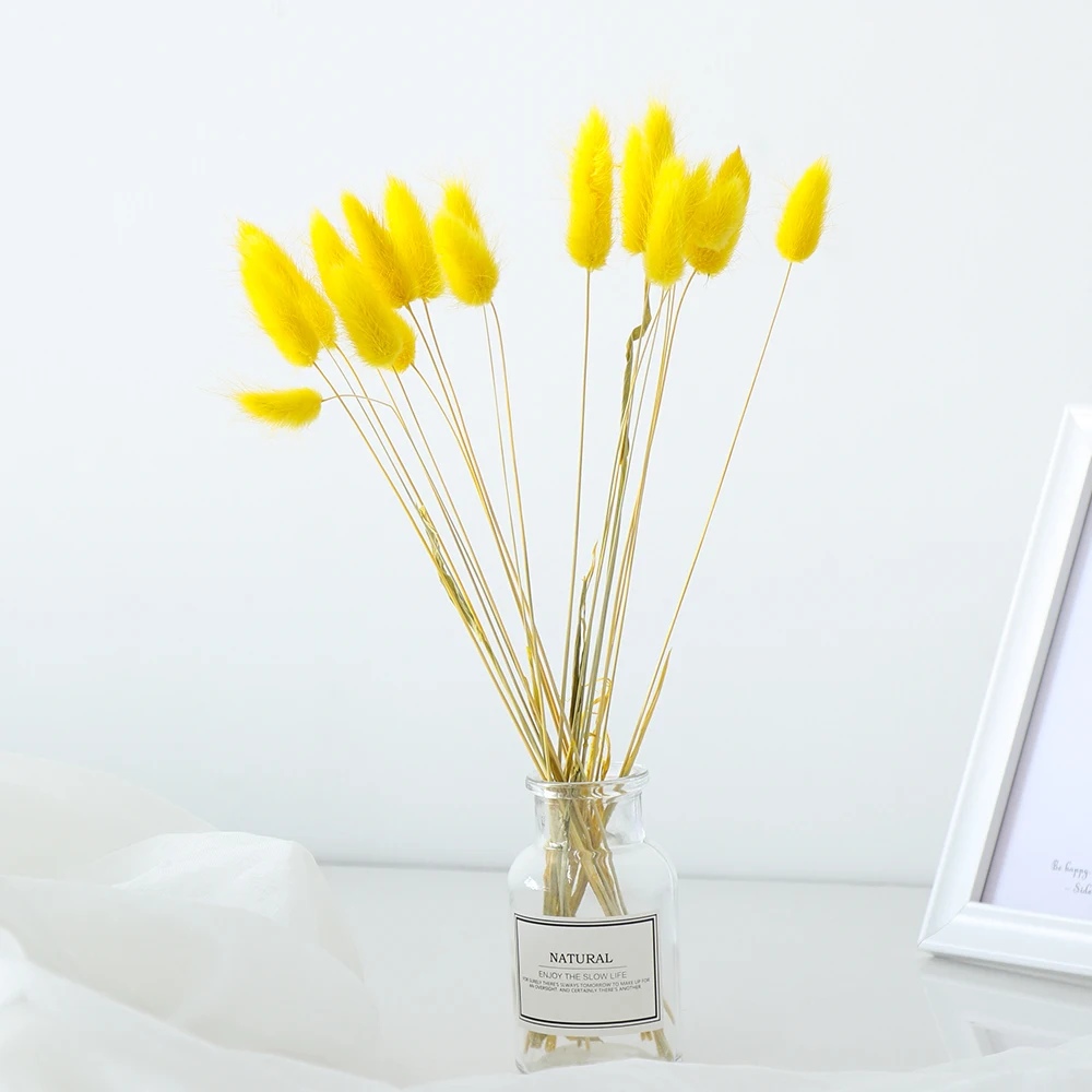 20 шт. сушеные цветы из натурального материала для украшения дома|Украшения