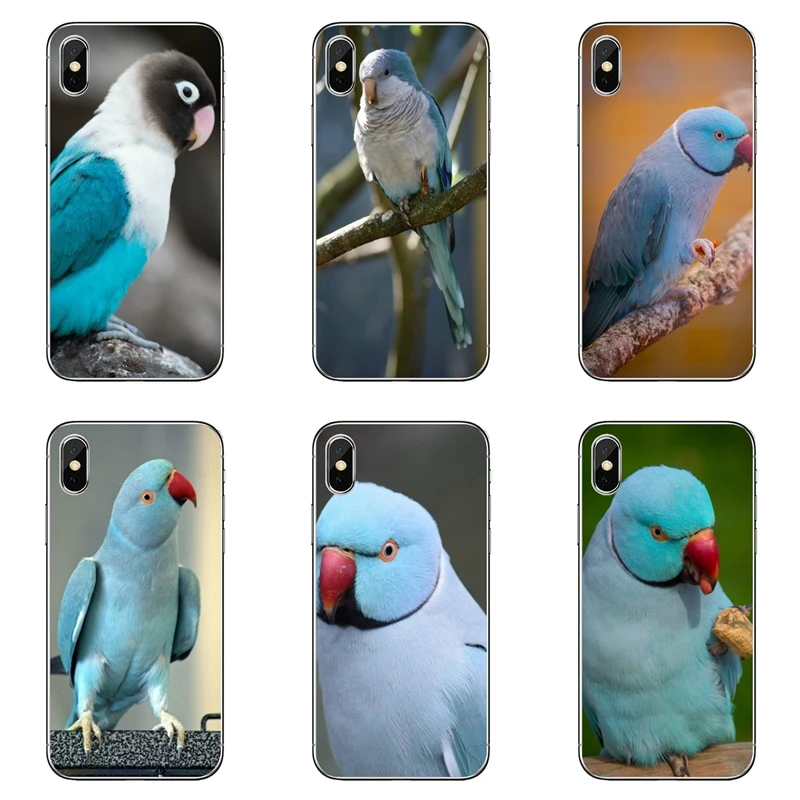 Аксессуары чехол для телефона Синяя кольцевая Шея попугай Huawei P30 P20 Pro P10 P9 P8 Lite Y5 Y6