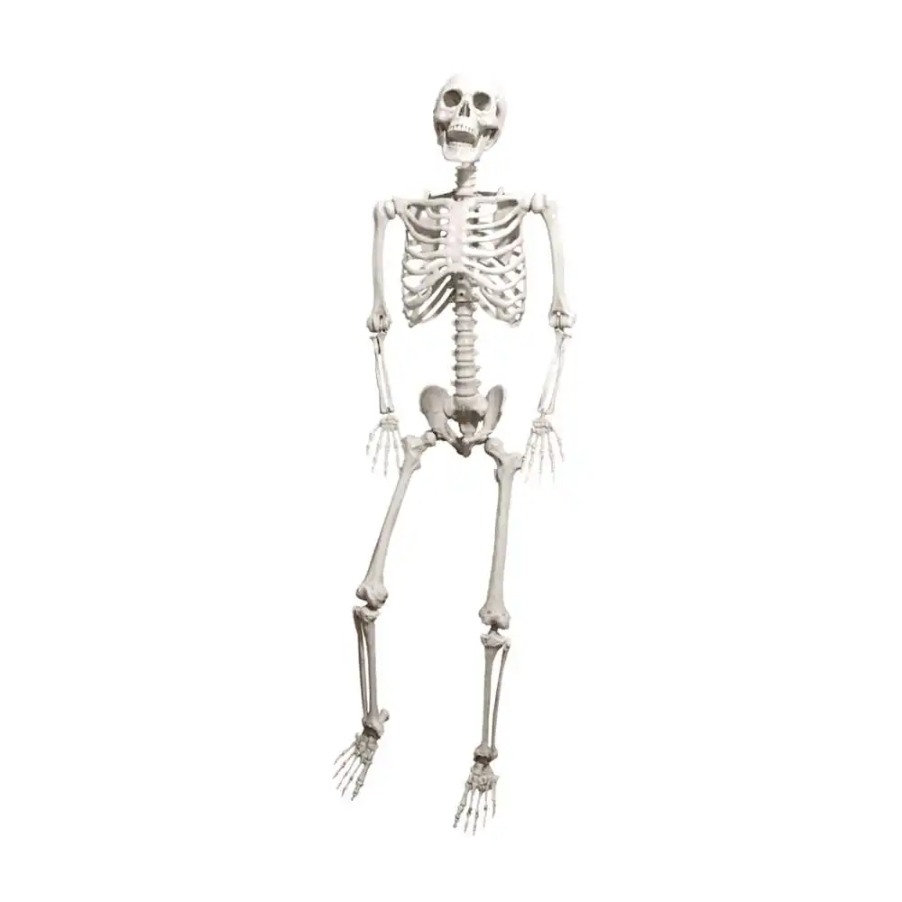

Festive & Party Supplies