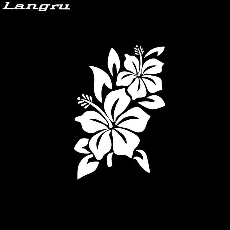 Рисунок 2 - Langru красивый цветок гибискуса