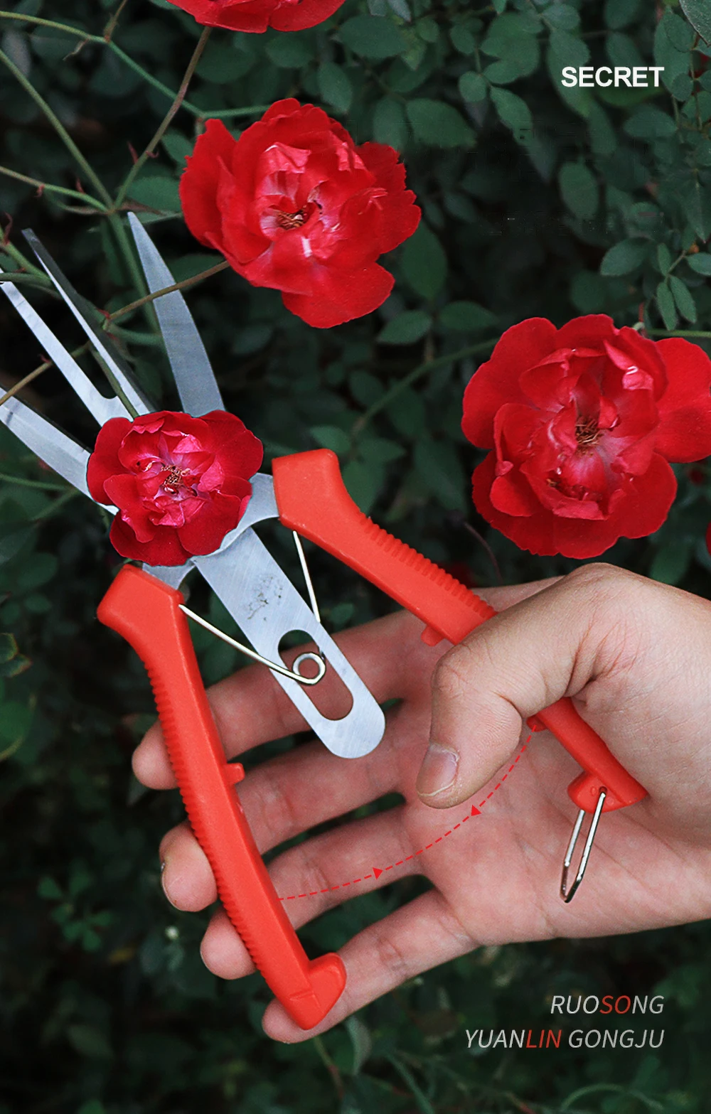 

Garden Pruning Shears Secateurs Tools Fruit Tree Pruning Scissors Bonsai Branch