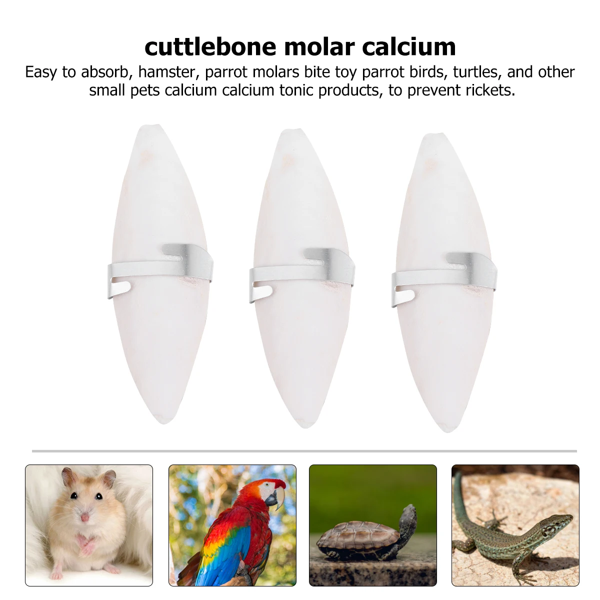 6 штук в упаковке Ночное белье птица Cuttlebone обниматься Жевательная Каракатица