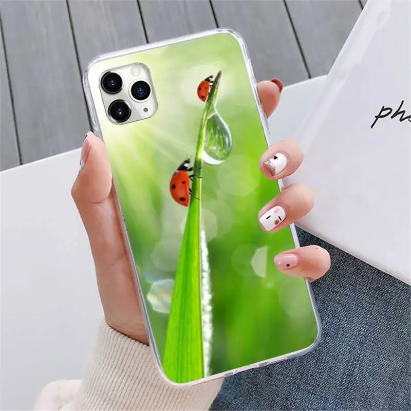 

four leaf ladybug daisy Phone Case For iphone 12 5 5s 5c se 6 6s 7 8 plus x xs xr 11 pro max mini