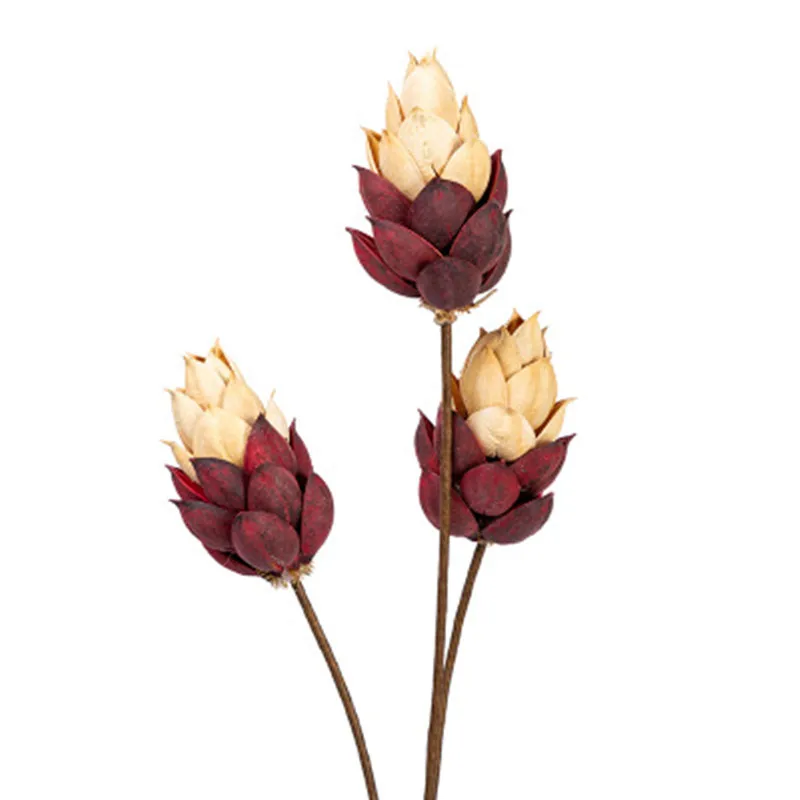 Sycamore Натуральные сушеные цветы ручной работы украшение для дома гостиной