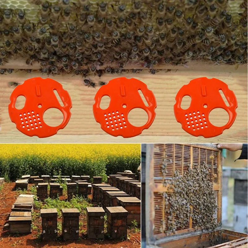 10 шт. Пластик Hive с сопротивлением двери пчеловодства круглый ящик для соты поток