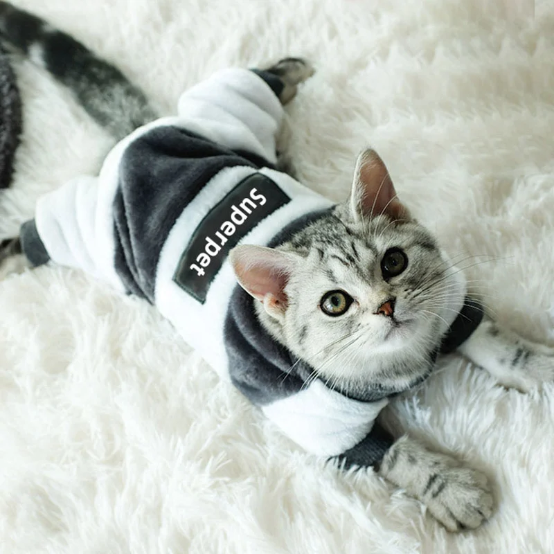

Cat clothes, winter clothes, four-legged warmth, autumn and winter, cute cats, dogs, pets, anti-hair loss