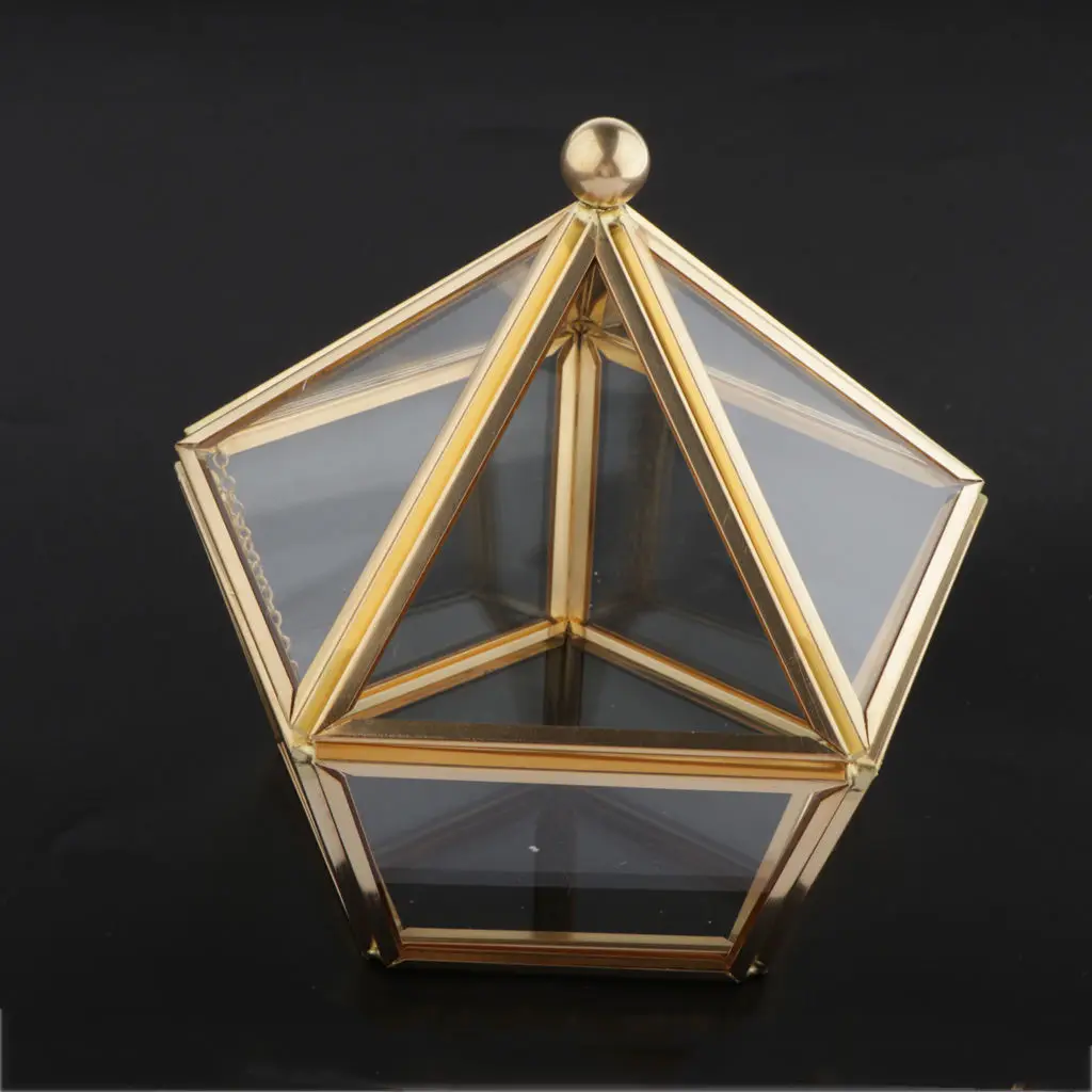 Clear Makeup Jewelry Organizer Case with Lid for Brooches Watches Women