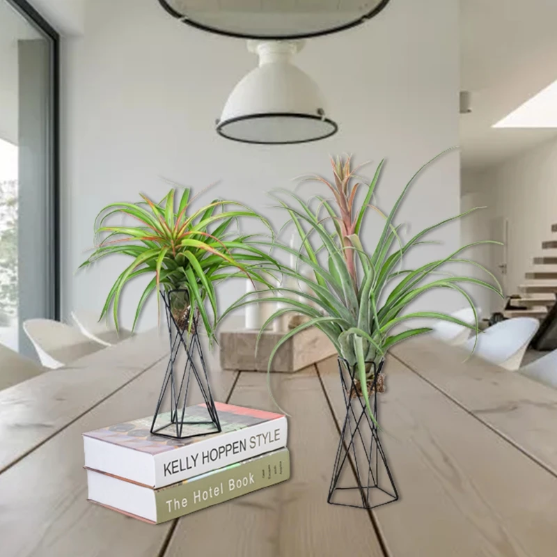 

Nordic Style Air Plant Holder Metal Flower Pot Stand Geometric Iron Tillandsia Holder Table Home Garden Ornaments