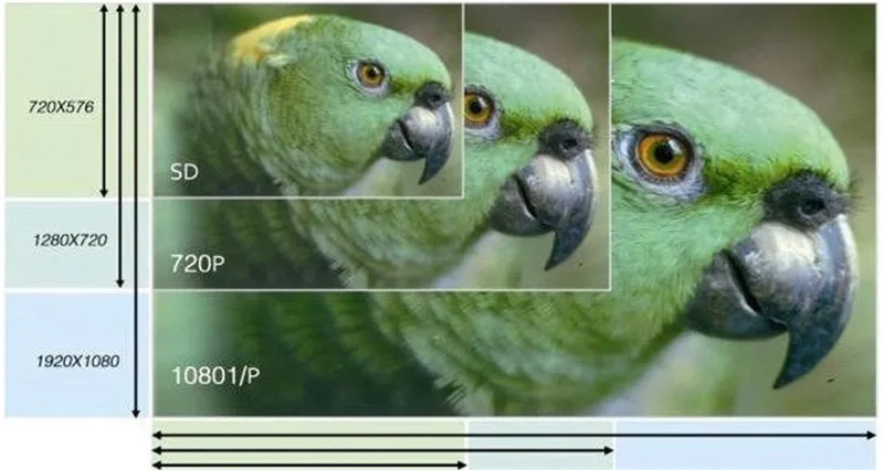 HD 1080P 60fps PTZ Конференц Камера 12x оптический зум HDMI CVBS USD 3 0 интерфейс 2 07 M Pixel UVC
