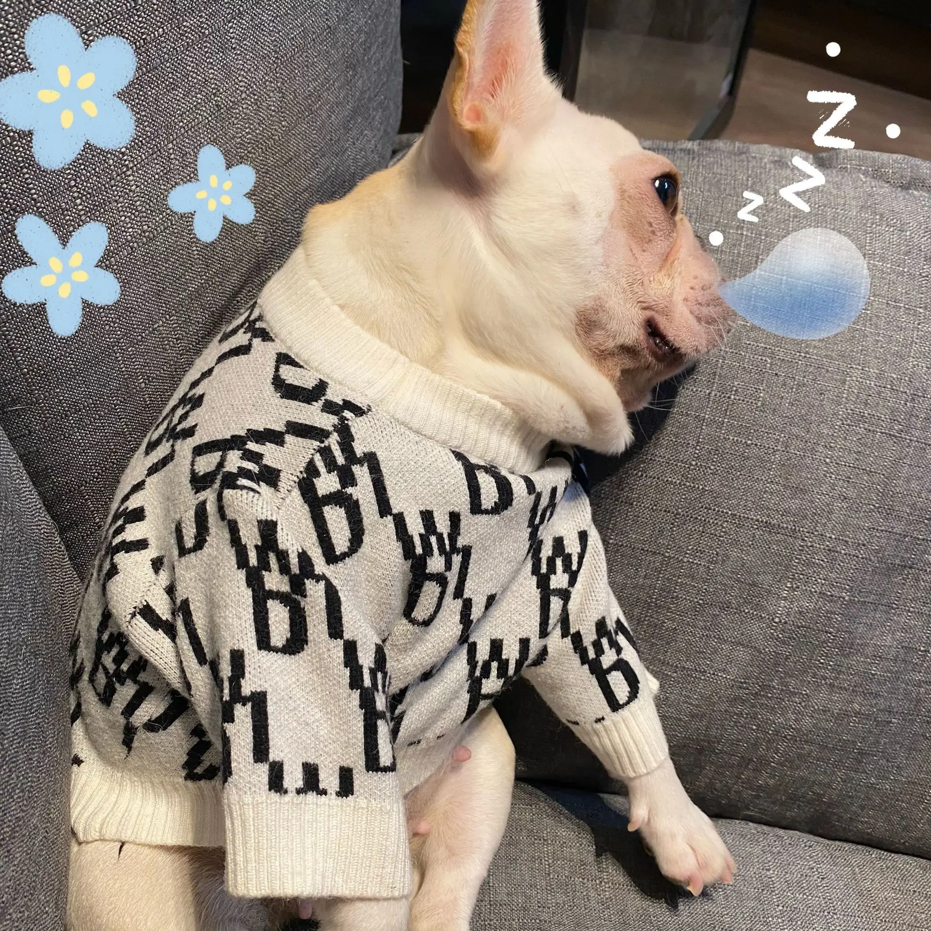 

2021 New Pattern Pet Tide Brand Net Red Clothes Dog Cat FaDu Teddy Sweat Schnauzer Small Dog Four Seasons Wei Clothing