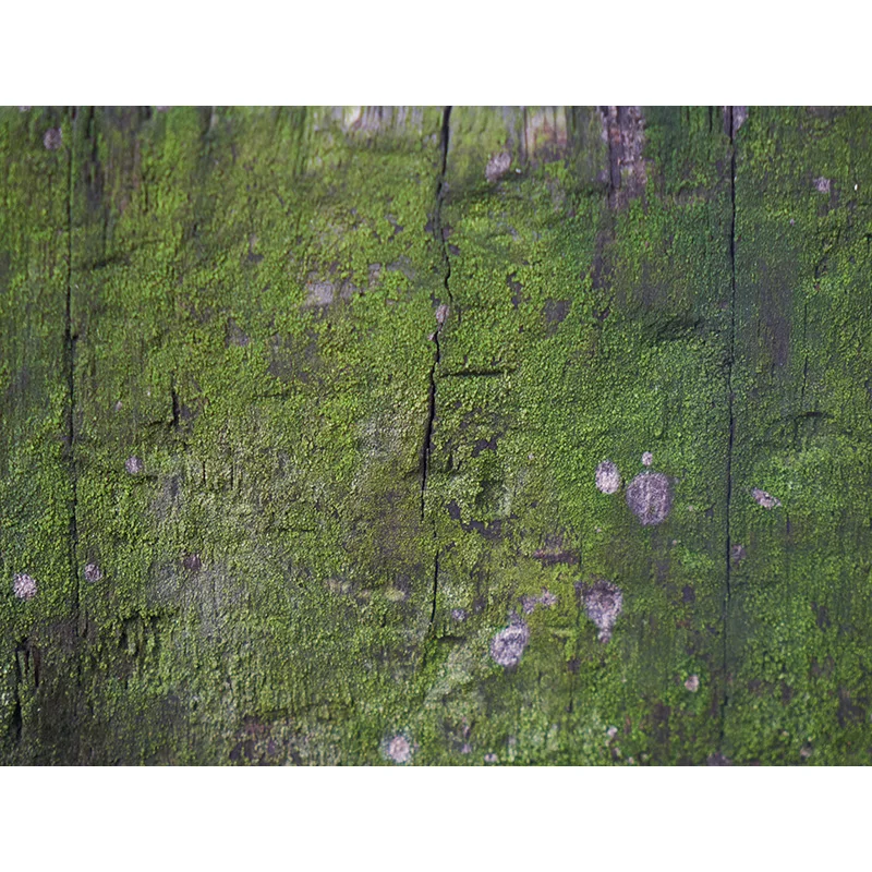 

Vinyl Retro Wood Board Texture Photo Backdrops Scenery Wooden Floor Plank Photography Background for Photo Studio 20103FMB-05