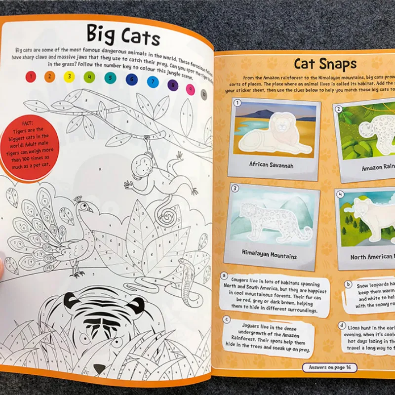 Детский сад детская раскраска и граффити наклейка книга фокус на