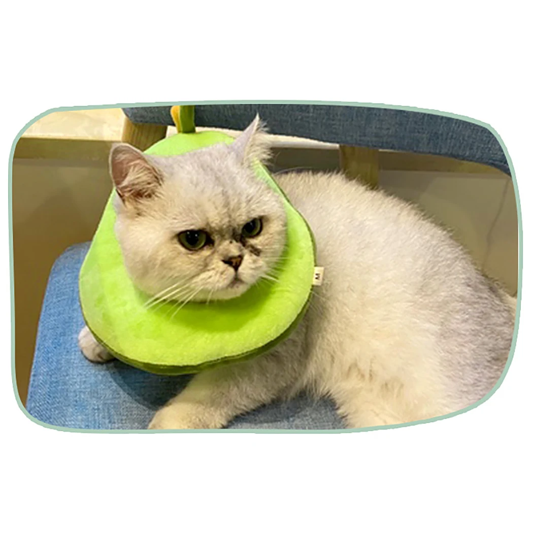 Ошейник для восстановления домашних животных креативный милый защитный ошейник