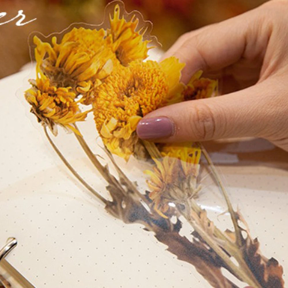 Сушеный цветок Скрапбукинг наклейки DIY креативные Неправильной Формы