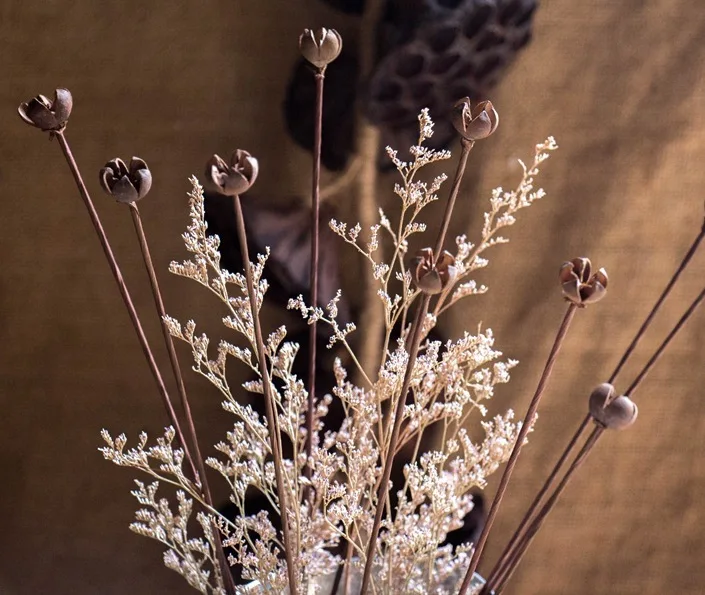 Естественная одностворчатая привозная удочка сухофрукты Цветочная композиция с