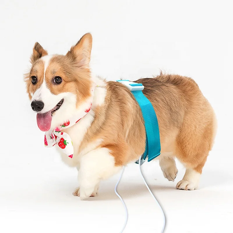 Pet Hospital Dog Cat Horse Health Diagnostic Quantum Resonance Magnetic Analyzer