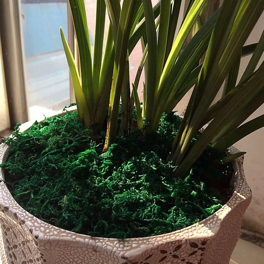 Декор для домашней гостиной Искусственный мох искусственные цветы предметы