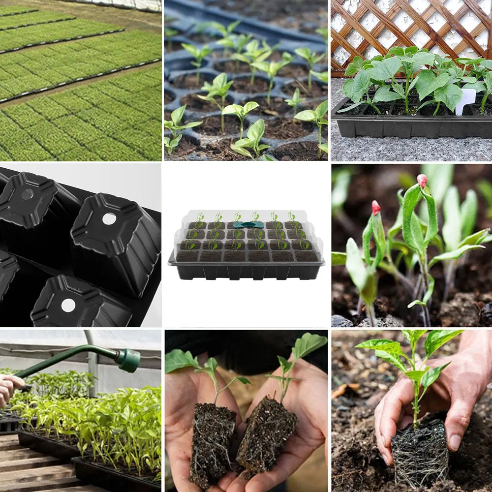 

3PCS 12/24 Cells Seed Starter Trays Plant Seeds Grow Box Seedling Trays Germination Box With Transparent Lids Box Nursery Pots