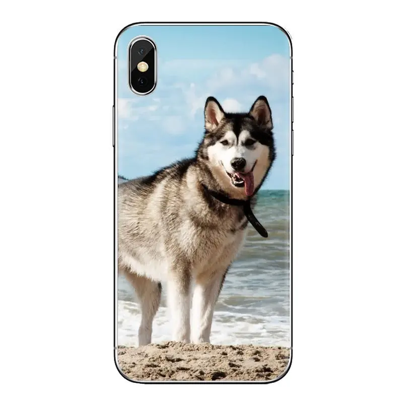 Для iPhone XS Max XR X 4 4S 5 5S 5C SE 6 6S 7 8 плюс samsung Galaxy J1 J3 J5 J7 A3 A5 Собака Хаски прозрачный