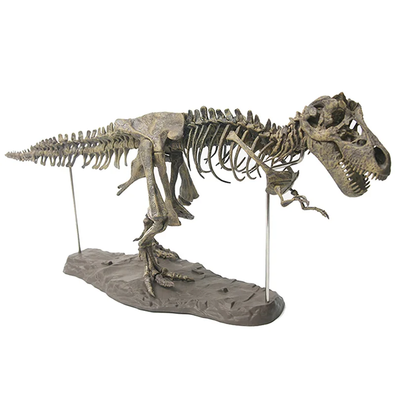 

Tyrannosaurus Rex Skeleton Dinosaur Animal Collector Decor Model Toy DSD666