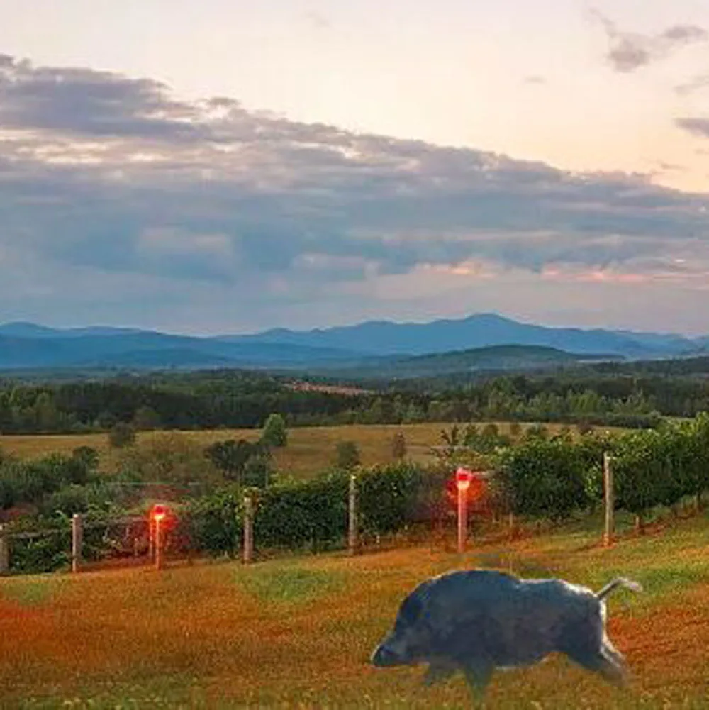 Солнечный инфракрасный датчик движения Детектор сирена стробоскоп