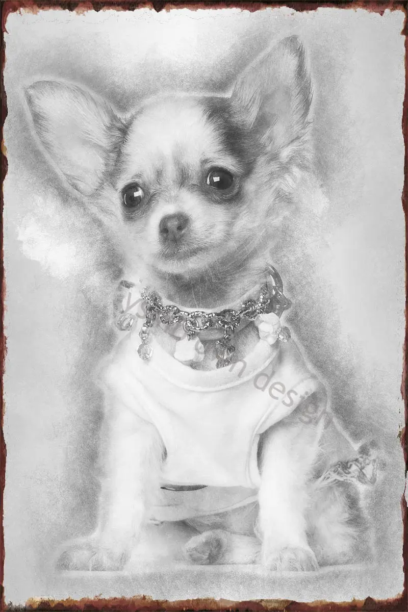 

Жестяная винтажная металлическая вывеска чихуахуа в стиле ретро с изображением щенка на 12 недель