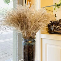 50pcs reed grass wheat ears rabbit tail grass natural dried flowers for home decor floor garden dining room hotel store wed q2l8