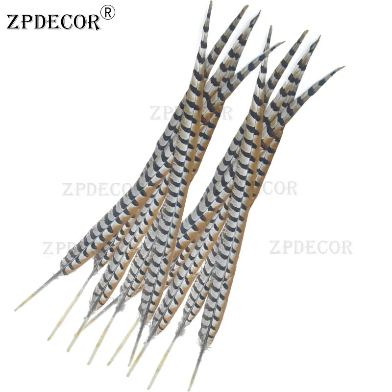 

70-80 cm Natural Reeves Venery Pheasant Tail Feathers jewelry Wedding Decorations Pheasant Feather