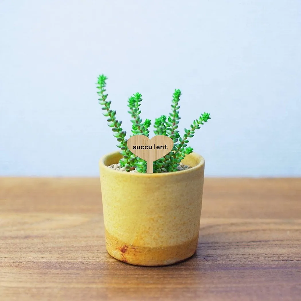 

Garden Plants Laber Labels Markers Plant Vegetables Wooden Eco-Friendly