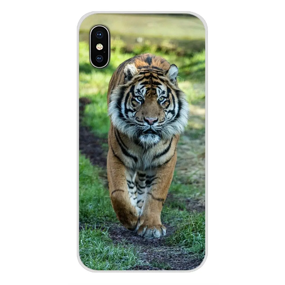 Мягкий прозрачный чехол с изображением животных тигра белого цвета для Samsung A10 A30