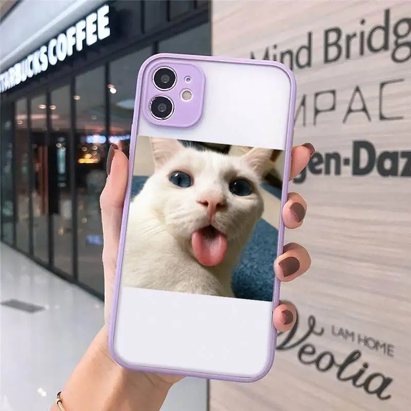 

Cute Cats New Year Gifts Phone Cases Matte transparent For Purple iPhone 12 Mini 11 Pro XR XS Max 7 8 Plus X Back Cover