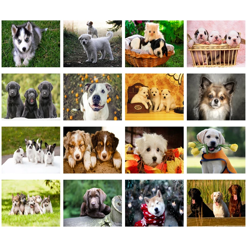 

Diy Diamond Decoration Painting Animal Husky Puppy Flower Square Diamond Round Diamond Customizable Wall Art Decoration