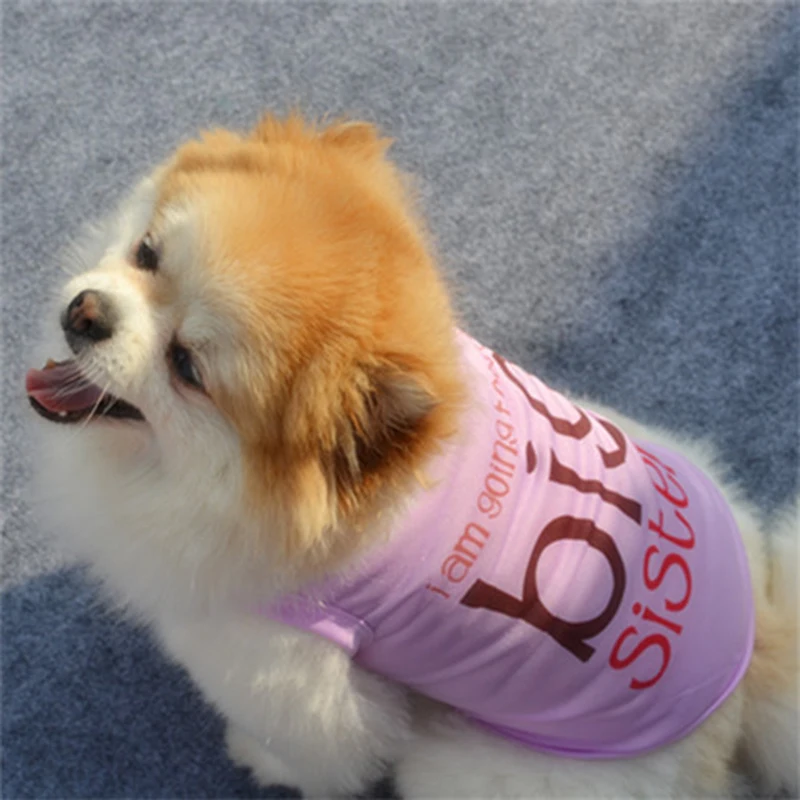 

Fashion Big Sister Printed Dog Vest Printed Cotton Jersey Spring Summer Dog Shirt Pet Clothes For Dogs Cats Puppy Dog Clothes