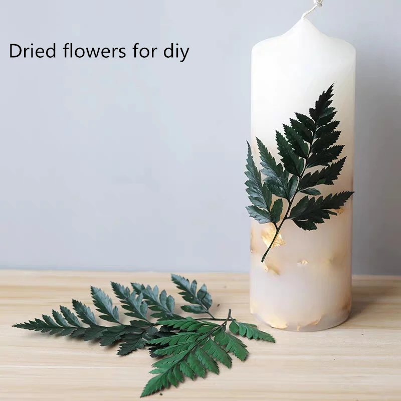 Dried Flower DIY Accessories for Aromatherapy Candle Necklace and Jewelry Making Craft - Real Dry Plants for DIY Candle and Decor - XJj24 image 4