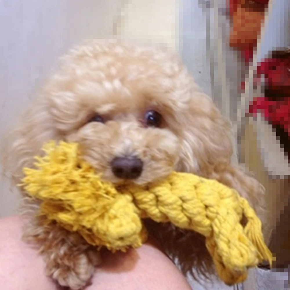 Игрушка для жевания в форме льва с ручным плетением модельная хлопковая веревка