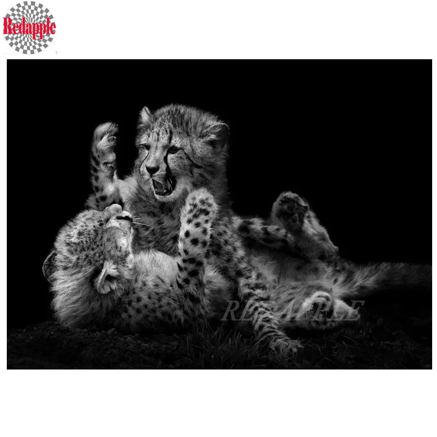 Стразы с алмазной вышивкой черно белые картины дикой фауной стразы тигровым