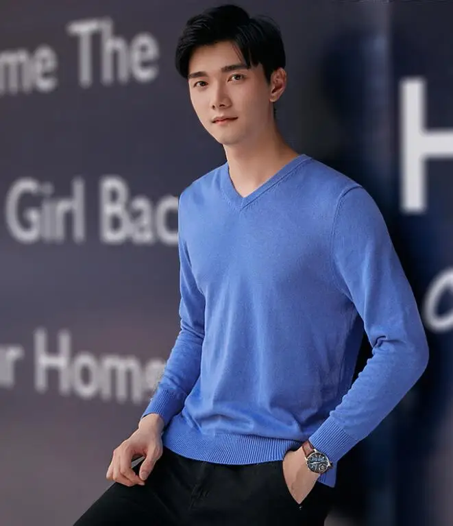 

Мужской Молодежный свитер с длинным рукавом и v-образным вырезом