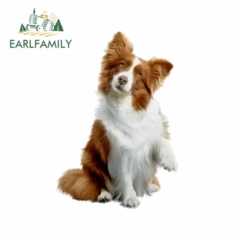 EARLFAMILY 13 см для Border Collie мотоцикл наклейки автомобиля ремонт Наклейка 3D Забавный