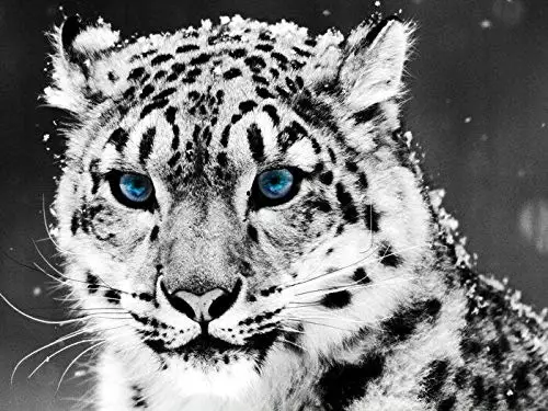 Новый Винтажный Ретро металлический жестяной знак Снежный Леопард дикие