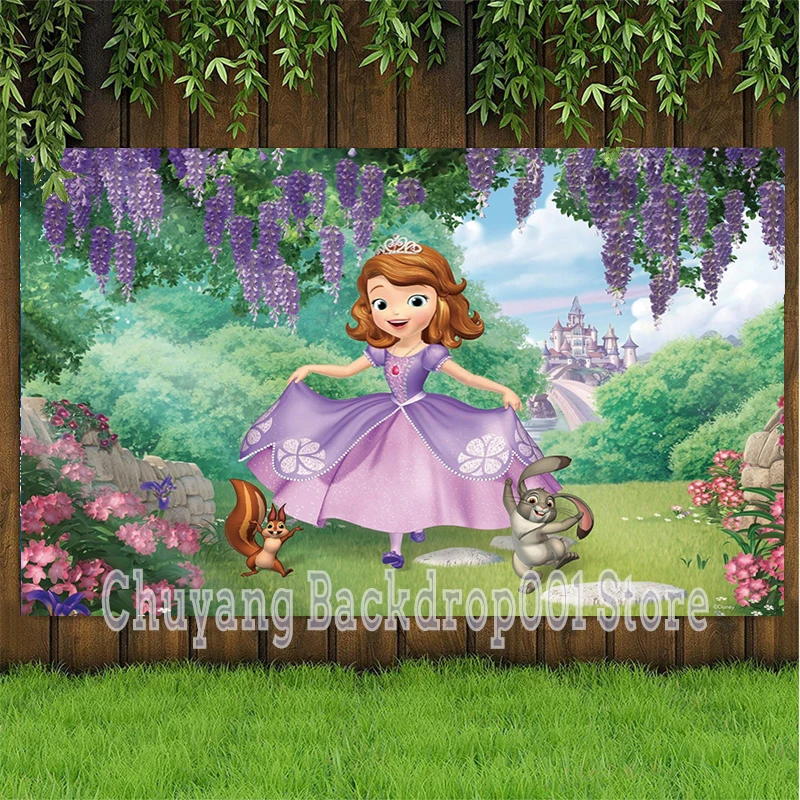 Индивидуальный фон для фотосъемки София принцесса замок Моана девочек украшение