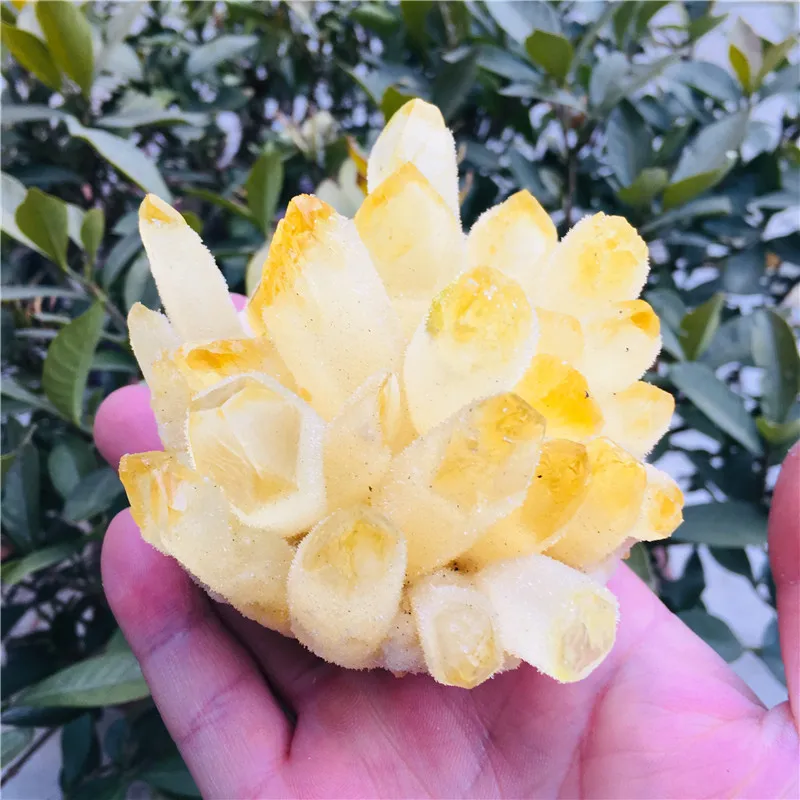 

natural yellow ghost quartz crystal cluster healing crystals raw gemstone specimen for home&office decoration fengshui