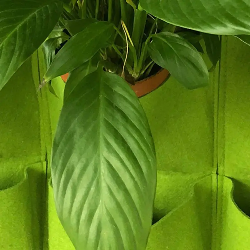 

34YF 12 Compartment Potted Plants Nurture Creative Wall-mounted Grow Bags Foldable