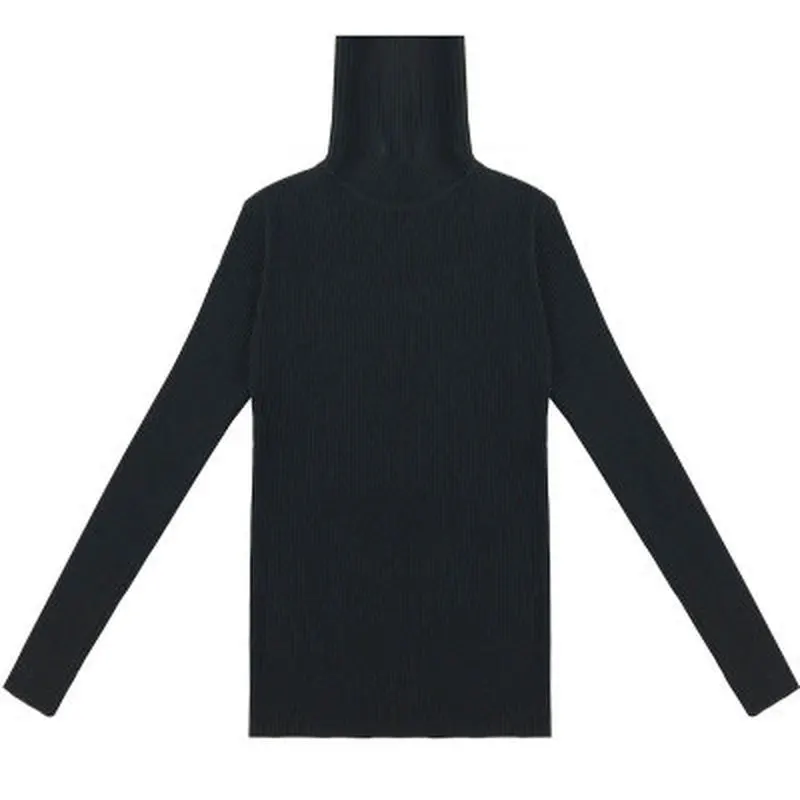 

Knitted Turtleneck Women Winter Tops Casual Jumper Pullovers Sweaters Women Shirt Long Sleeve Slim Sweater Acrylic Sueter Mujer