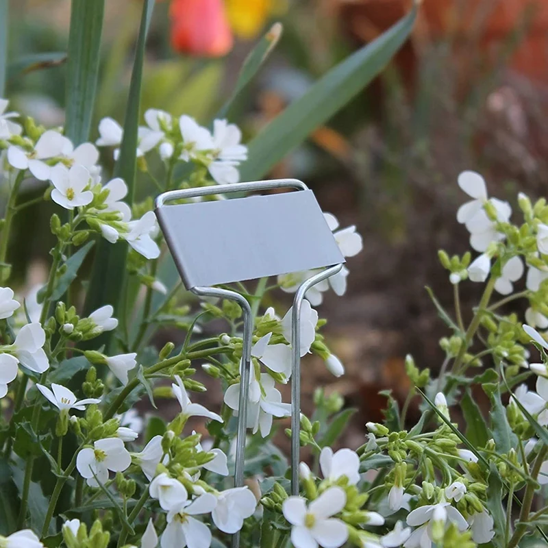 

25Pcs Metal Plant Labels Garden Markers Tags T Type Plant Tags Markers Set (L,Silver)