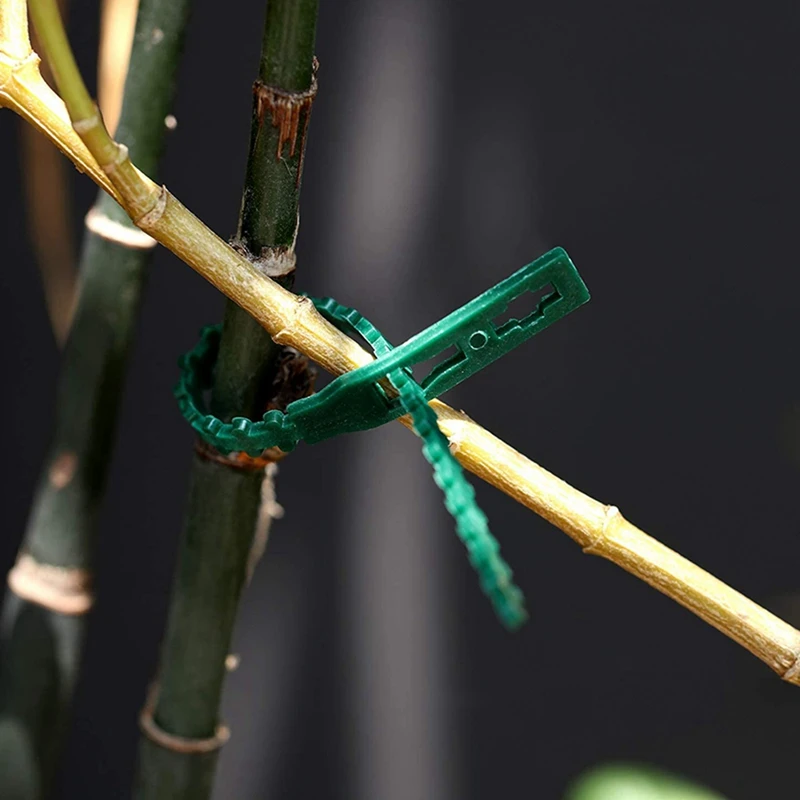 

200 Pieces of Adjustable Plant Tie Green(13 and 17 cm, Garden Tie) & 3Pcs Plant High-Pressure Propagation Box