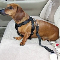 dog hauling cable pets car seat belts retractable adjustable safety rope pet leash vehicle safety belt puppy products 67 5cm 1pc