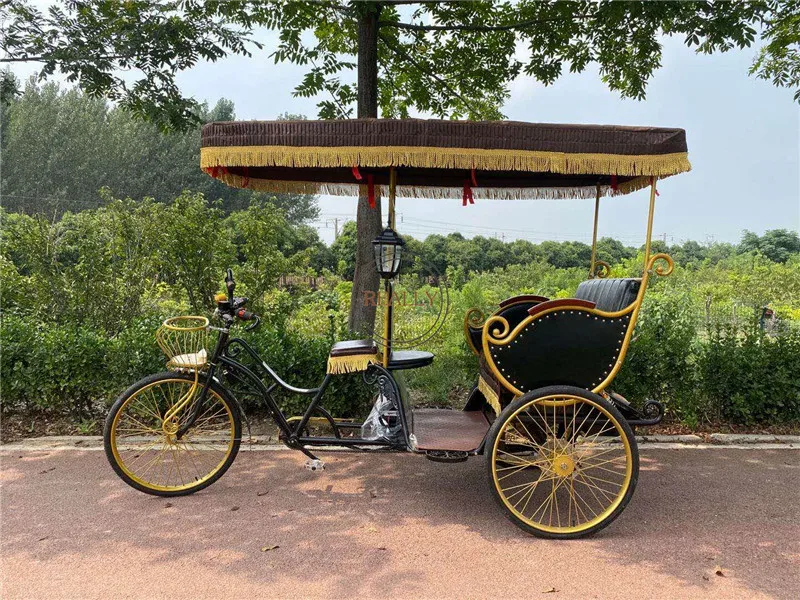 Электрический трехколесный велосипед для взрослых Авто батарея рикша пассажиры