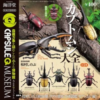 capsule q museum insect three dimensional illustrated book gacha toys beetles uang scarab dynastes hercule simulation model toys