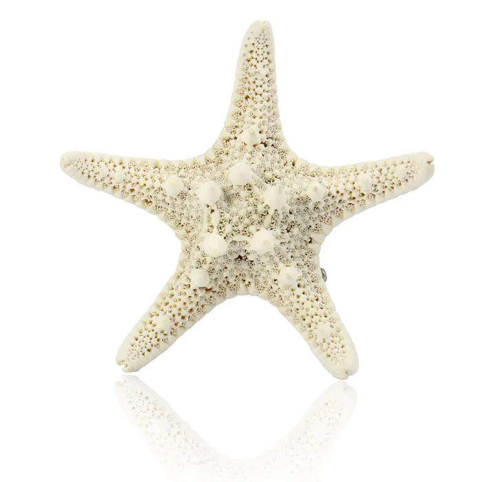 

Europe Women Lady Girls Pretty Natural Starfish Star Beige Hair Clip